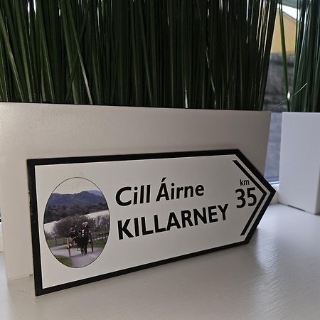 Holiday In The Heart Of Kerry キャッスルメイン エクステリア 写真
