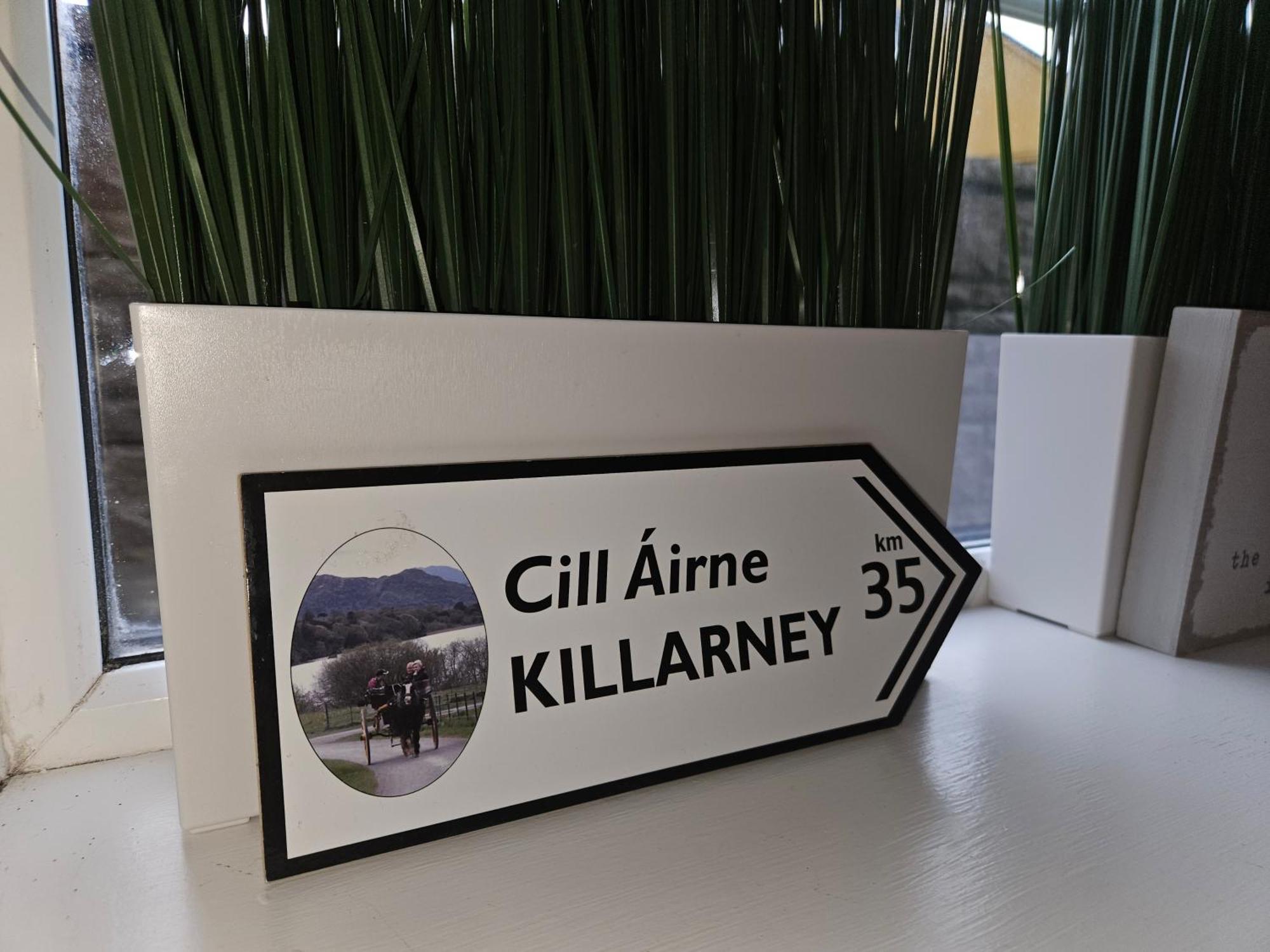 Holiday In The Heart Of Kerry キャッスルメイン エクステリア 写真